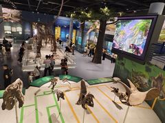 -国家自然博物馆