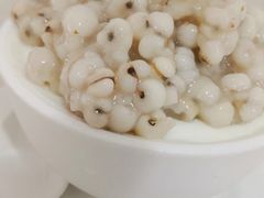 薏米双皮奶-老周记顺德双皮奶