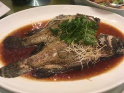 -上海虹桥锦江大酒店·宴会厅