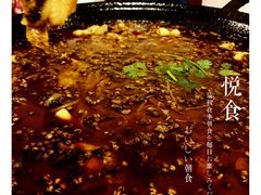 -鸿顺老铁锅美蛙鱼府(解放碑店)
