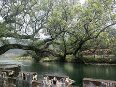 -上坦村