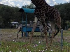 -哈尔滨北方森林动物园