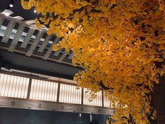 大堂-旨味Umami_融合料理(万博汇店)
