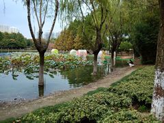 -白塘生态植物园