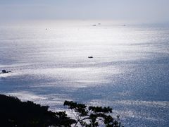 -南丫岛