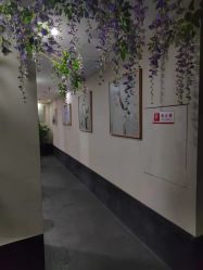 -盘子女人坊生日照·摄影馆(华强店)