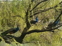 -J Create城市露营咖啡·简餐·宠物(上海动物园店)