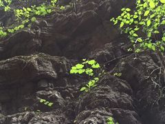 -野三坡百里峡景区