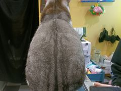 -谜盒子奇幻密室(南屏店)