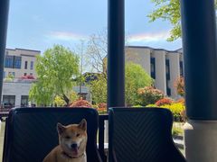 -上海崇明金茂凯悦酒店