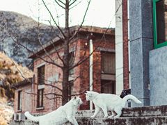 -金岳台私汤温泉度假山庄·创意餐厅(昌平十三陵店)