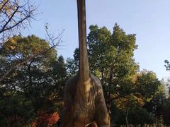 -金钉子远古世界景区