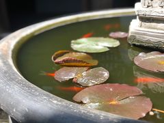 -林则徐纪念馆