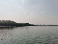 -丁香湖公园