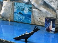 -泉州海丝野生动物世界