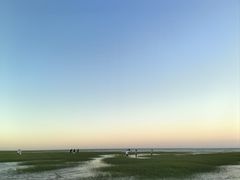 -南汇新城海滩