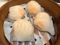 稻香虾饺皇-稻香酒家·35年老字号(侨光店)
