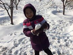 -永定河休闲森林公园