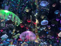 -梵高星空艺术馆(北京旗舰店)