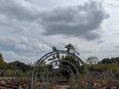 -杭州植物园