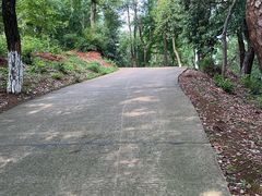 -岣嵝峰国家森林公园