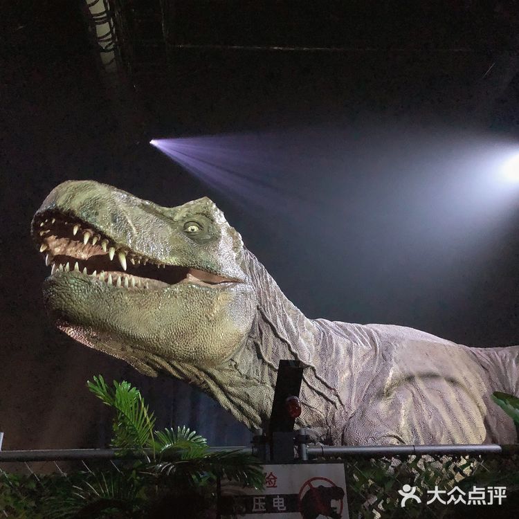 熊猫基地的侏罗纪恐龙乐园