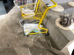 -浣熊柯尔鸭土拨鼠·电玩咖