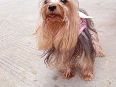 android_upload_pic-广州市石门国家森林公园