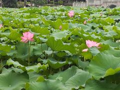 -雀儿山公园