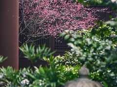 -慧因高丽寺