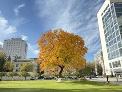 -长白岛森林公园