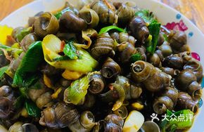 Oil Gate Snail