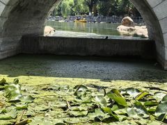 -莲湖公园