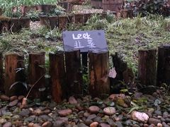 -青城山六善酒店·紫氣園中餐厅