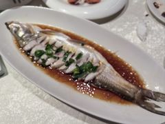 -金美华轩(东方路齐鲁店)