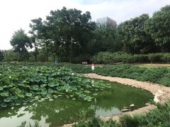 -芭蕾仙子 FairyBallet 少儿芭蕾舞蹈中心(丽都旗舰店)