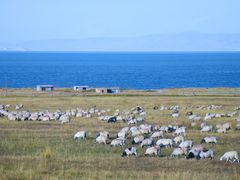 -青海湖国家重点风景名胜区