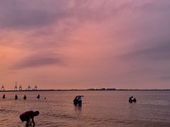 -金梦海湾浴场