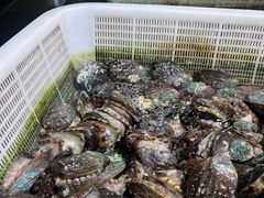 -金龙渔港(双楠店)