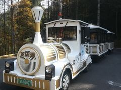 -千岛湖龙川湾