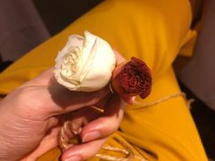 -茉川甜品MOCHUAN