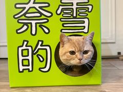 -奈雪的茶(金凤万达PRO店)