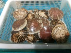 -必点蒸汽海鲜(止锚湾店)