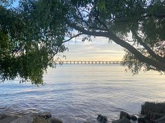 -宝安西湾红树林湿地公园