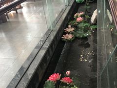 -水莲居(佛祖岭店)