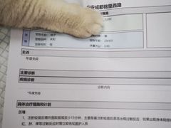 -安安宠医·臻爱宠物医院·宠保定点(营门口路分院)