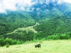-硗碛藏寨·神木垒景区