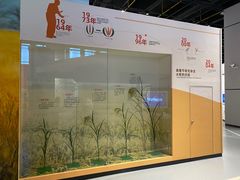 -山东省科技馆(新馆)
