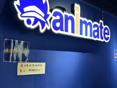 -Animate(工人体育场东路店)