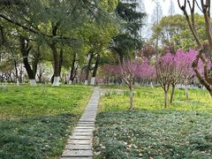 -范蠡湖公园